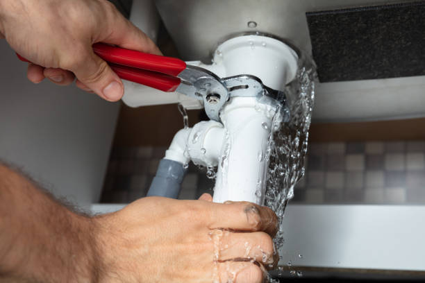 Best Commercial water damage restoration  in Dagsboro, DE