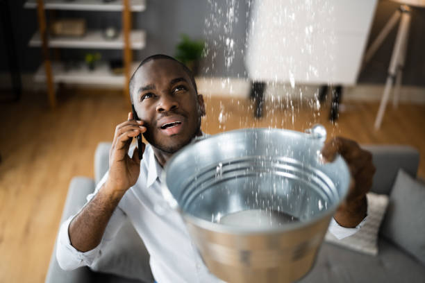 Best Carpet water damage restoration  in Dagsboro, DE