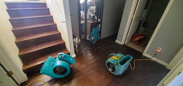 Reliable Dagsboro, DE Water damage restoration Solutions