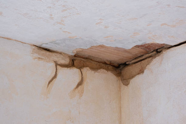 Best Flooded house restoration  in Dagsboro, DE