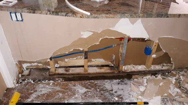 Best Emergency water damage restoration  in Dagsboro, DE