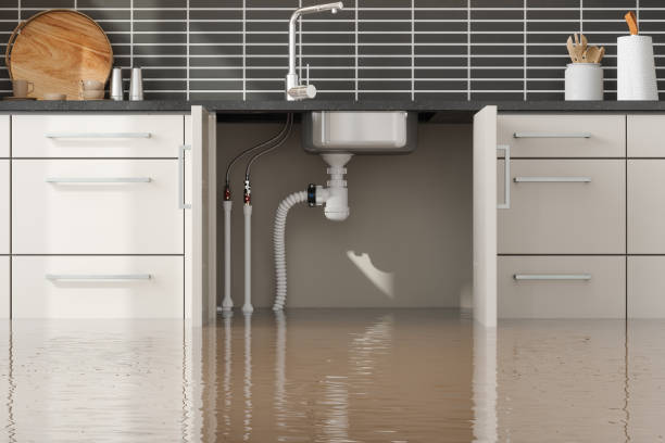 Best Sewage cleanup and water damage restoration  in Dagsboro, DE